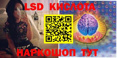 стаф Бузулук