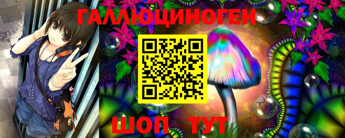 Озёры  как найти наркотики  Псилоцибиновые грибы ЛСД  Вход с VPN  Псилоцибиновые грибы Psilocybine cubensis 